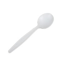 Bio-degradable spoon from DisposablesInc.com. The best import service in China. Import your disposable items and products from us. 